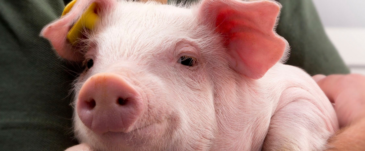 Een duurzaam Sustainability Report